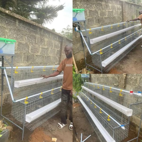 64 BIRDS CAPACITY HALF SIDE CAGE